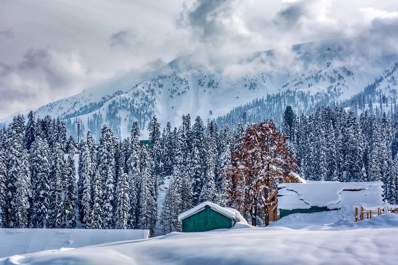 Gulmarg - Meadow of Flowers, Kashmir